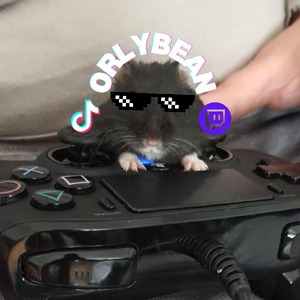 Streamer Profile Picture