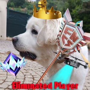 Streamer Profile Picture