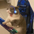 Streamer Profile Picture