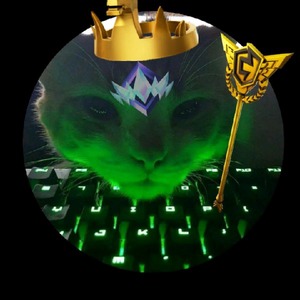 Streamer Profile Picture