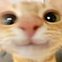 Streamer Profile Picture