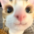 Streamer Profile Picture