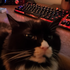 Streamer Profile Picture