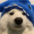 Streamer Profile Picture