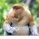 BirdiedMC