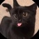 Streamer Profile Picture