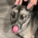 Streamer Profile Picture