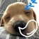 Streamer Profile Picture