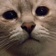 Streamer Profile Picture