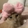 Streamer Profile Picture