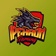 Streamer Profile Picture