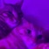 Streamer Profile Picture