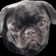 Streamer Profile Picture