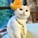 Streamer Profile Picture