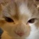 Streamer Profile Picture