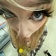 Streamer Profile Picture