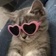 Streamer Profile Picture