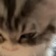 Streamer Profile Picture
