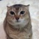 Streamer Profile Picture