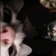 Streamer Profile Picture