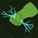 Streamer Profile Picture