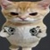 Streamer Profile Picture