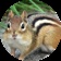 Streamer Profile Picture