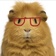 Streamer Profile Picture