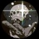 Streamer Profile Picture