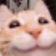 Streamer Profile Picture