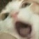 Streamer Profile Picture