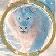 Streamer Profile Picture