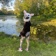 Streamer Profile Picture