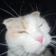Streamer Profile Picture