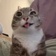 Streamer Profile Picture