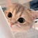Streamer Profile Picture