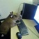 Streamer Profile Picture