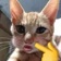 Streamer Profile Picture
