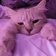 Streamer Profile Picture