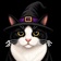 Qq_on_Kick