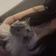 lilyyy