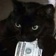 Streamer Profile Picture