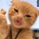 จีน่าเจน🐱