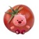 tomatoO