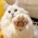 Streamer Profile Picture