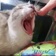Streamer Profile Picture