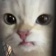 Streamer Profile Picture