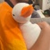 Streamer Profile Picture