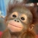 Streamer Profile Picture