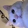Streamer Profile Picture